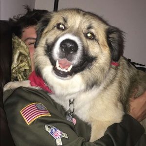 Meet your Posher, Chase